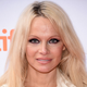 Illustration for article titled Find Out What Pamela Anderson, Cee Lo Green, And Thomas Pynchon Have To Say